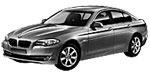 BMW F10 U11D9 Fault Code
